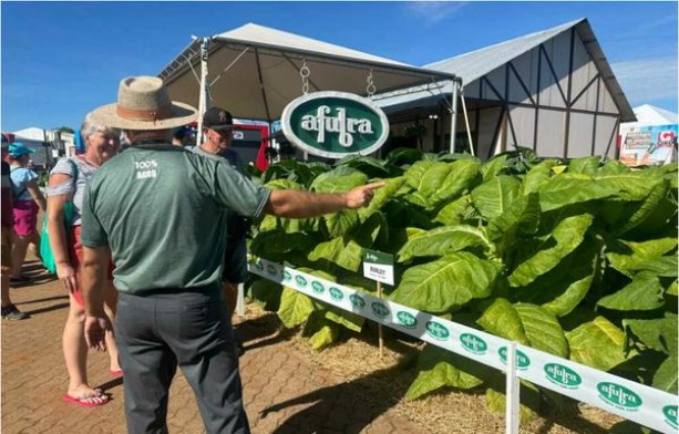 新丝路(硬细支)多少钱一包2025？新丝路(硬细支)多少钱一盒2025？