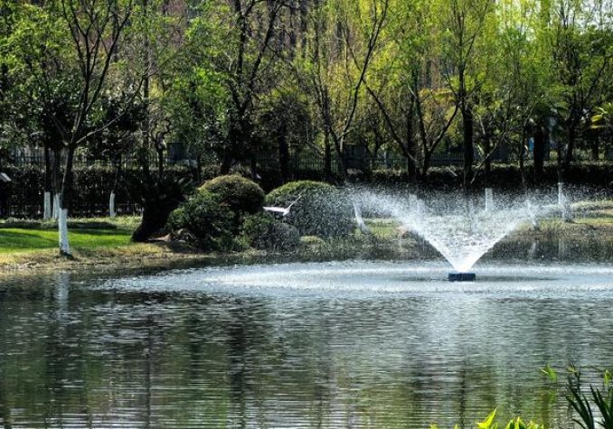 黄鹤楼地势坤价格查询 黄鹤楼地势坤多少钱一盒2024？