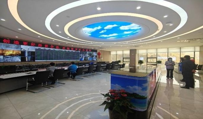 红山茶软白多少钱一包？红山茶软白价格表一览 