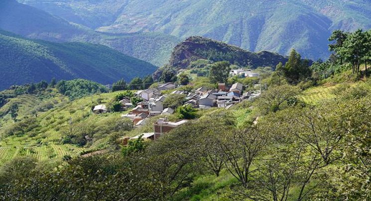 终于发现！全国香烟排名价格“避实击虚”