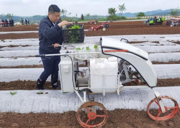 ICE冰蓝爆珠多少钱一包？ICE冰蓝爆珠价格查询 