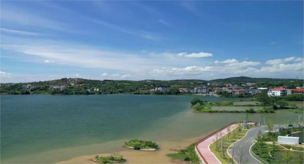 黄金叶(天河)厂家，黄金叶(天河)批发价格是多少？