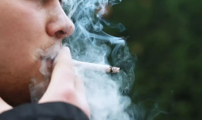 真龙(硬凌云)批发多少钱？真龙(硬凌云)价格表一览