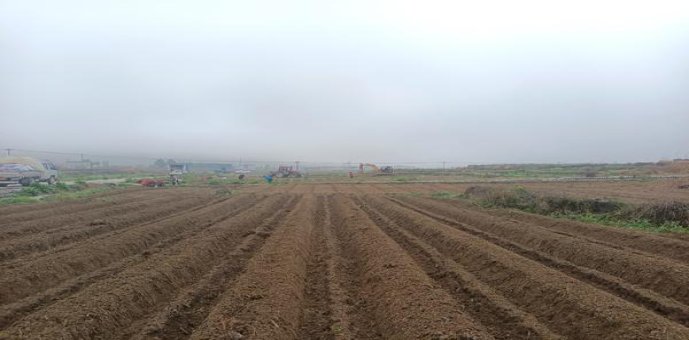 娇子宽窄越王楼价格表和图片娇子宽窄越王楼价格查询 