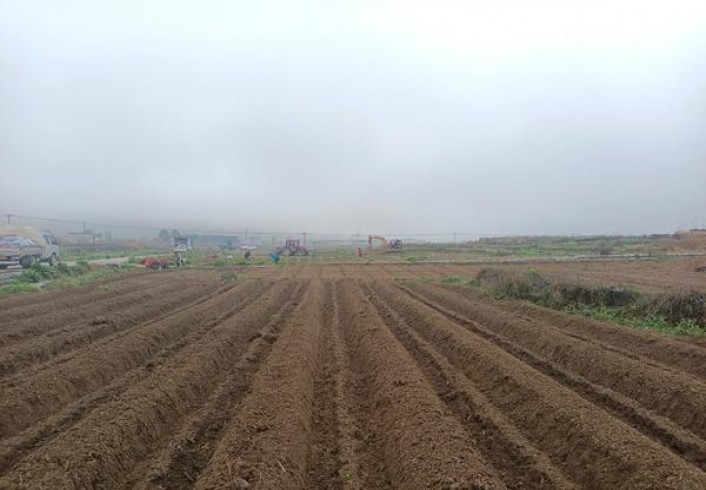 黄鹤楼(思博.绿色版)一手渠道，黄鹤楼(思博.绿色版)价格表一览