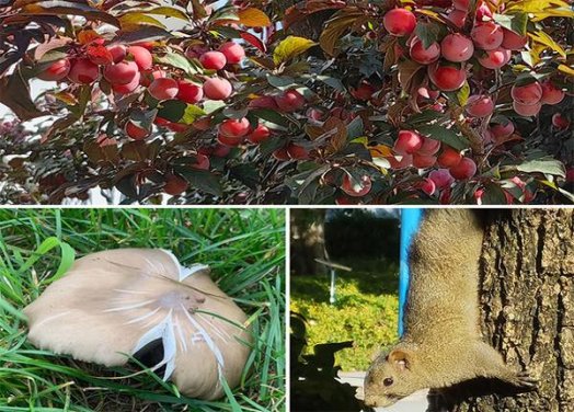 芙蓉王(硬蓝香港免税新版)一手渠道，芙蓉王(硬蓝香港免税新版)价钱批发