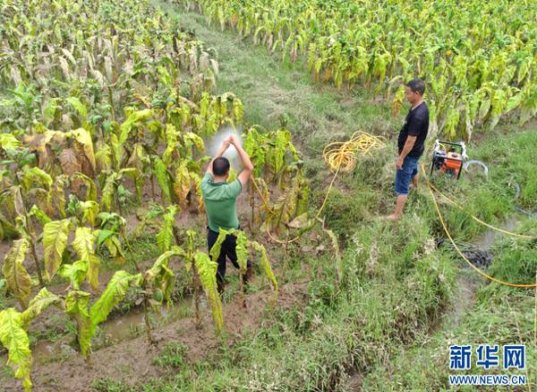 惊现！最低出厂价工厂货源“春色满圆”