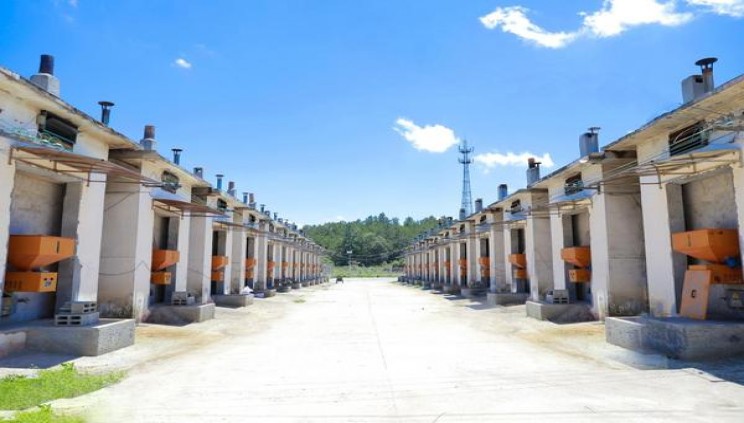 和平(金鼎7mg台湾版)什么价格？和平(金鼎7mg台湾版)多少钱一盒2025？