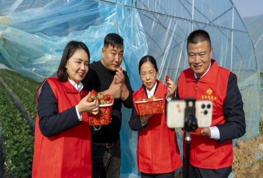 苏烟(软金砂)多少钱一包？苏烟(软金砂)参数详解 