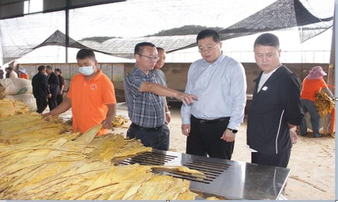 契斯特菲尔德(绿美税100S)香烟正品价格表 契斯特菲尔德(绿美税100S)图片及价格查询