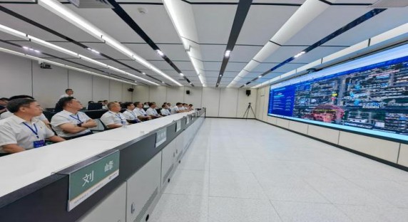 双喜(好日子晶彩)什么价格？双喜(好日子晶彩)图片及价格 