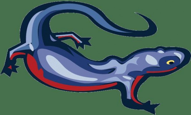 厉风(雪梨双爆珠日版)多少钱一盒2025？厉风(雪梨双爆珠日版)价格表一览 