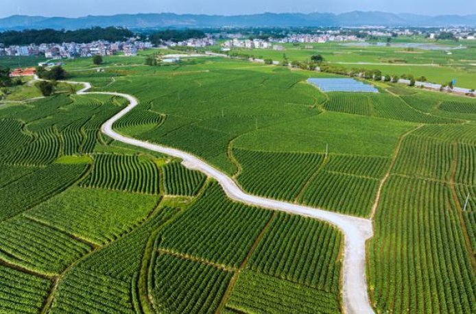 万宝路冰蓝土耳其版价格表图一览表 万宝路冰蓝土耳其版批发价格是多少？