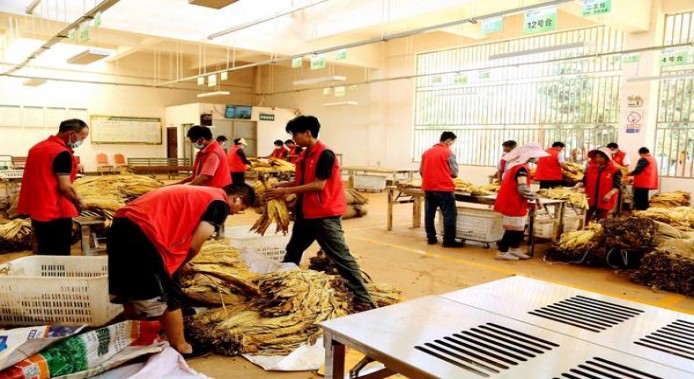 玉溪(硬和谐)多少钱一盒2025？玉溪(硬和谐)什么价格？