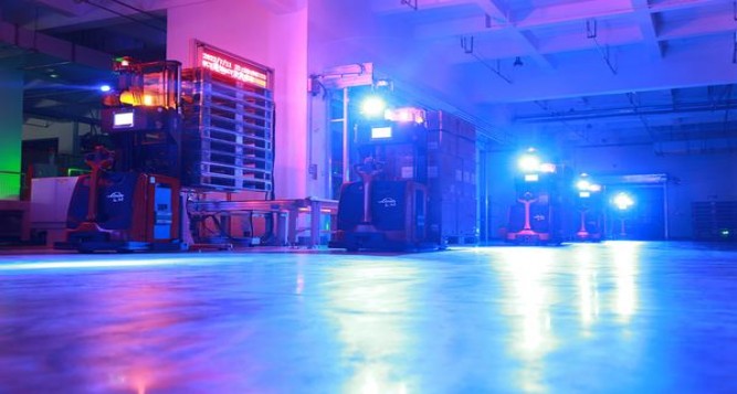 钻石(新一品荷花)价格表图一览表 钻石(新一品荷花)价格表和图片 