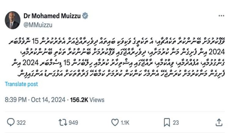 双喜硬港免版价格表和图片双喜硬港免版多少钱一包2024？