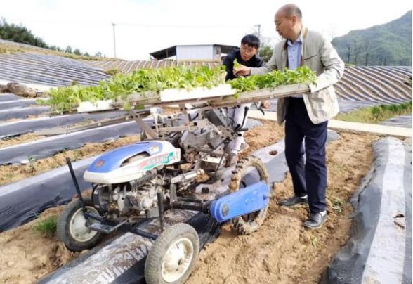 万宝路硬白金法国免税版价钱批发 万宝路硬白金法国免税版多少钱一盒2024？