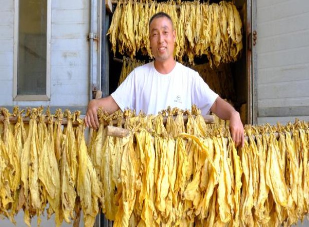 王子(烟支柔和 薄荷挪威版)一手渠道，王子(烟支柔和 薄荷挪威版)价格表图一览表