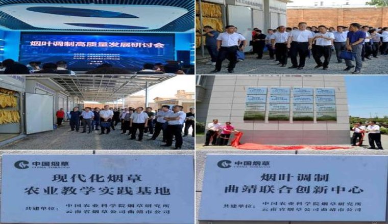 黄金叶中华龙价钱批发 黄金叶中华龙香烟价格表2024 