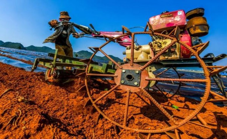 555(弘亚太免税版)价格查询 555(弘亚太免税版)价钱批发 