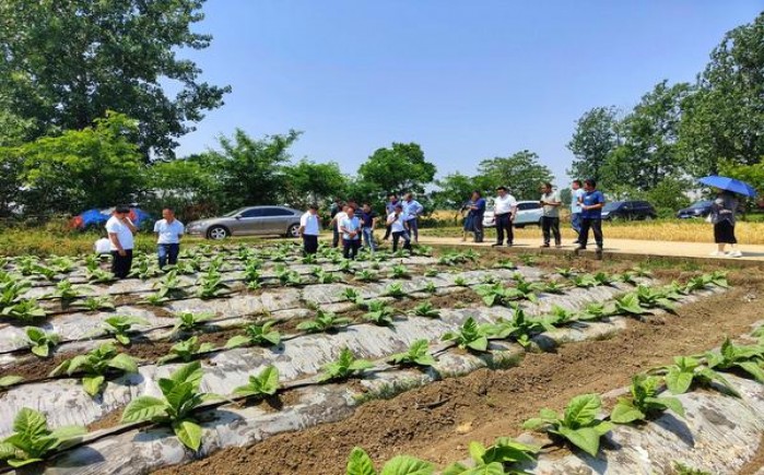 威斯(小熊猫)价格表一览 威斯(小熊猫)参数详解 