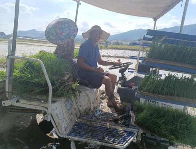 探索！黄金叶南阳小天叶香烟的进货之道