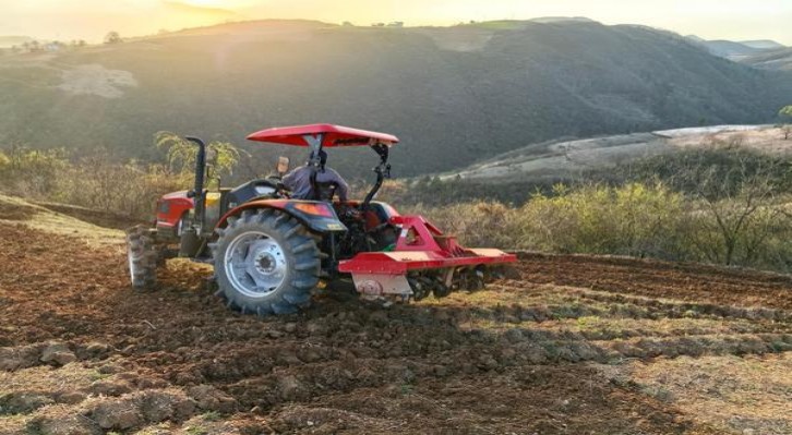 双喜(勿忘我2022世界杯定制版)厂家批发，双喜(勿忘我2022世界杯定制版)多少钱一盒2024？