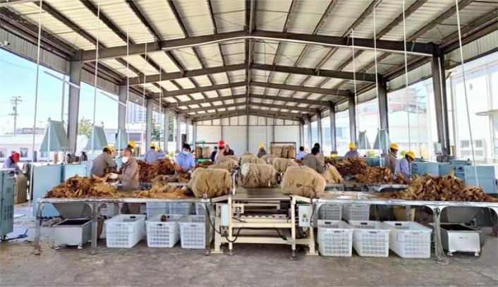 七匹狼(蓝海细支)厂家渠道，七匹狼(蓝海细支)多少钱一盒？