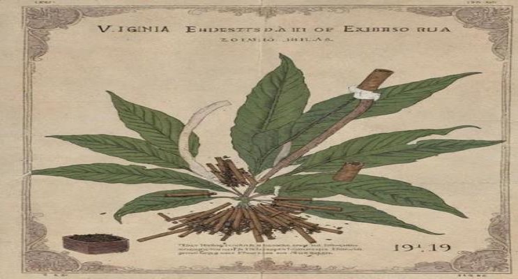 好彩(Click 1871土耳其版)拿货价格，好彩(Click 1871土耳其版)多少钱一盒？