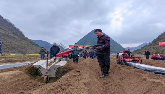 梅比乌斯(葡萄爆珠5mg细支日版)多少钱一盒2025？梅比乌斯(葡萄爆珠5mg细支日版)香烟正品价格表 