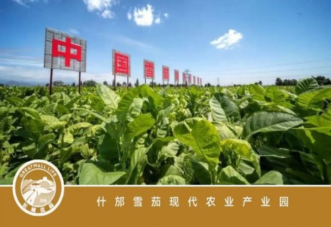 爱喜幻变中免版香烟价格表2024 爱喜幻变中免版价格表图一览表 