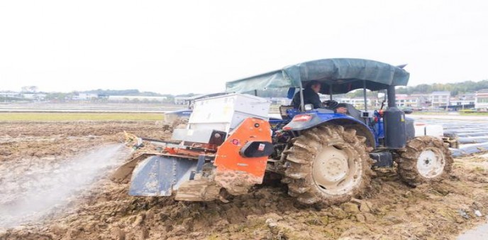 好彩(硬红原味墨西哥版)什么价格？好彩(硬红原味墨西哥版)多少钱一盒？