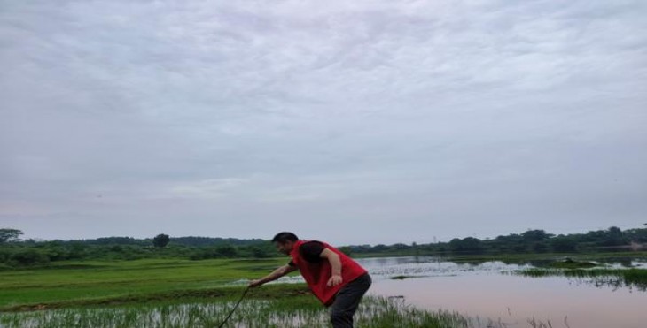 契斯特菲尔德绿美税100S多少钱一盒2024？契斯特菲尔德绿美税100S香烟价格表2024 