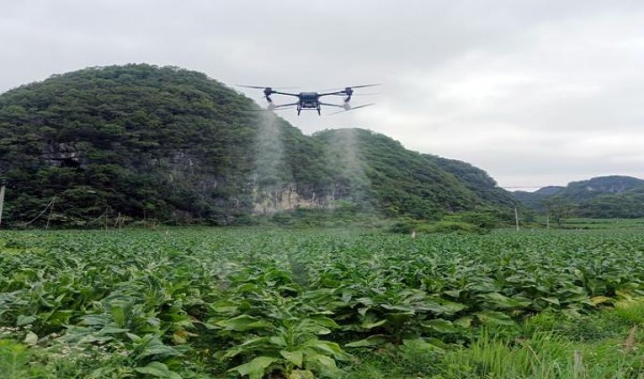 苏烟(出口)参数详解 苏烟(出口)香烟正品价格表 