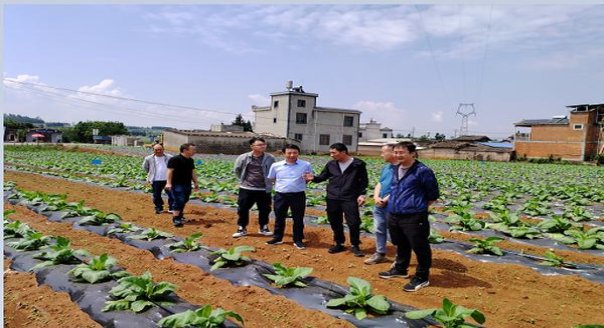 万宝路(硬白金澳大利亚版)价格表图一览表 万宝路(硬白金澳大利亚版)价格表图一览表 