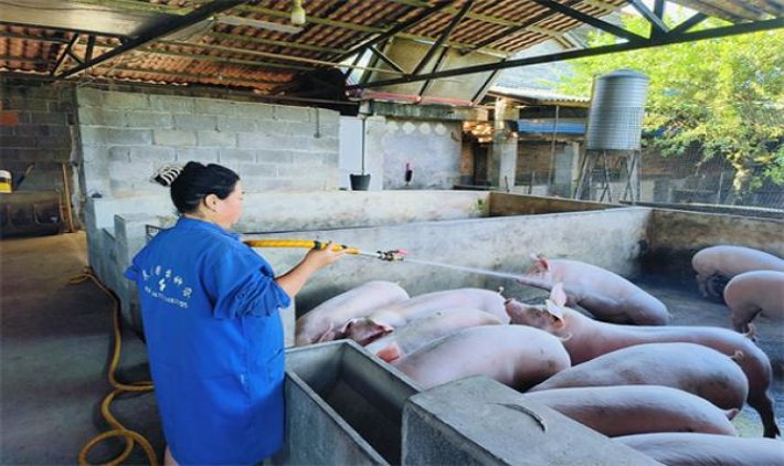 蓝星柑橘爆珠韩版多少钱一包？蓝星柑橘爆珠韩版价格表一览 