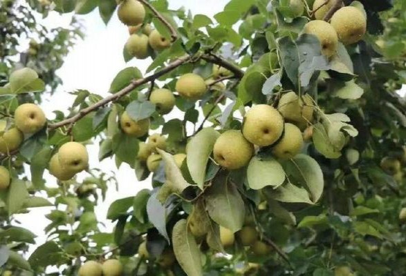 万宝路(白银美税版)价格表一览 万宝路(白银美税版)香烟价格 