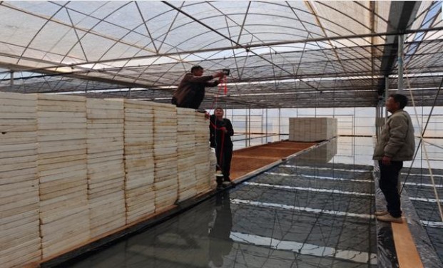 土楼1575冰抹茶价格表图一览表 土楼1575冰抹茶多少钱一盒2024？