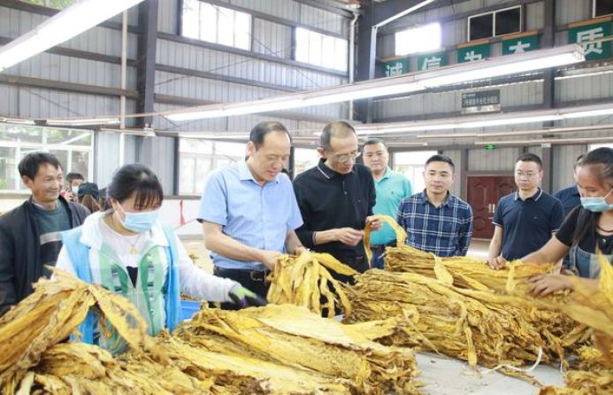 中南海蓝莓薄荷爆珠价格查询 中南海蓝莓薄荷爆珠香烟价格表2024 