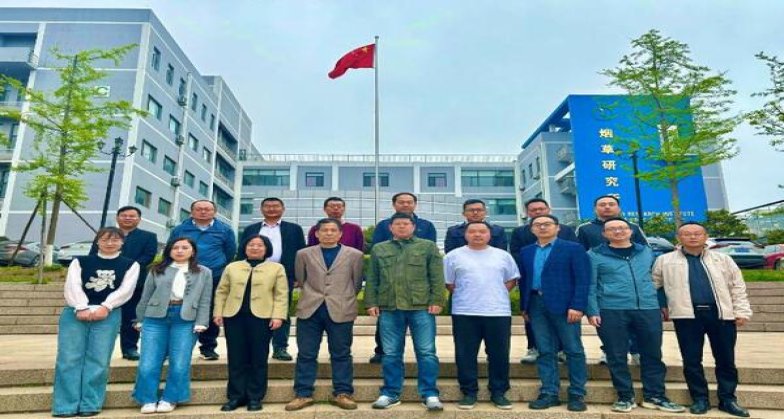 王冠茶马古道多少钱一盒2024？王冠茶马古道多少钱一盒2024？