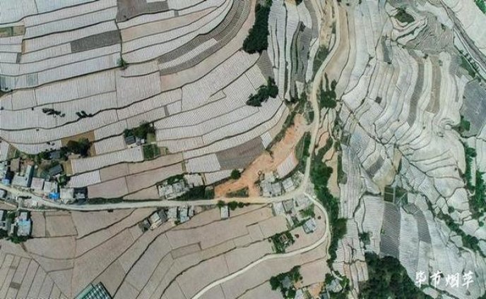 万宝路(软红黎巴嫩完税版)价格表图一览表 万宝路(软红黎巴嫩完税版)价钱批发 