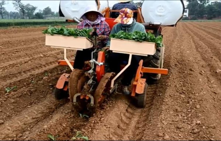 LM(特醇韩版免税)厂家渠道，LM(特醇韩版免税)价格表和图片