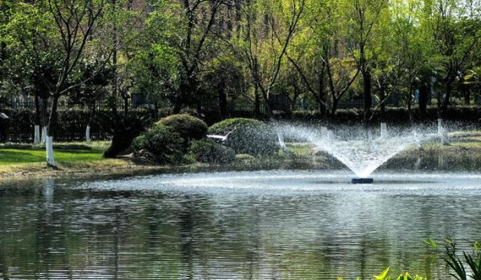 美登(蓝激情)厂家直销，美登(蓝激情)多少钱一包？