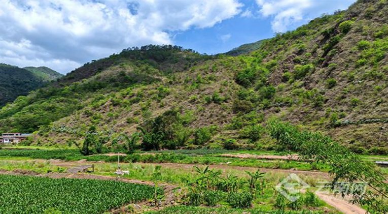 柔和七星(LSS清蓝 3毫克)渠道批发，柔和七星(LSS清蓝 3毫克)价格表图一览表