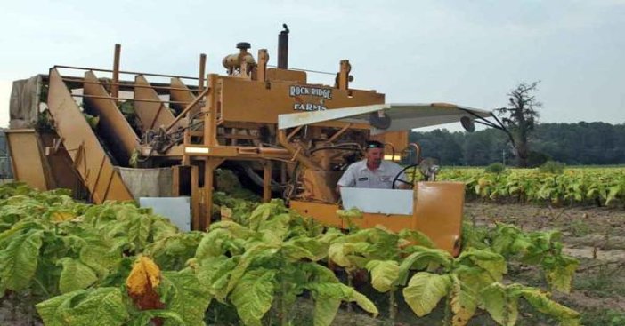 爱喜(薄荷超细免税韩版)一手货源，爱喜(薄荷超细免税韩版)价格表一览
