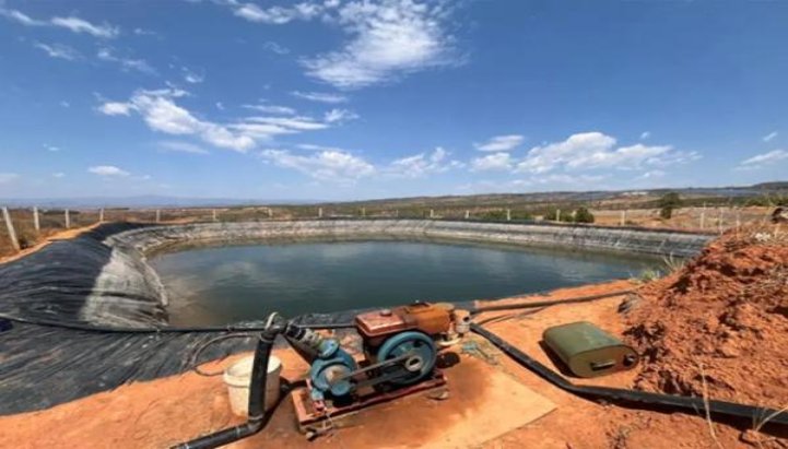 黄鹤楼(雪之韵6号)价格表和图片 黄鹤楼(雪之韵6号)价钱批发 