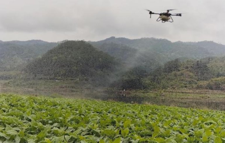 好猫丝路长安多少钱一包？好猫丝路长安多少钱一盒2024？