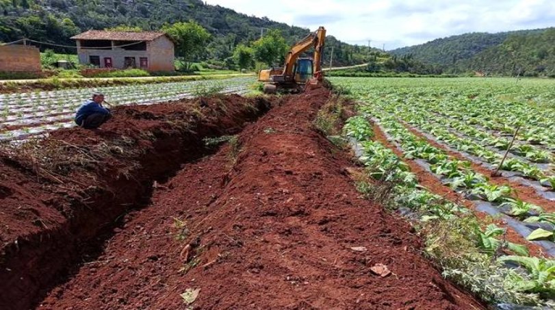 阿里山红韵流金多少钱一包？阿里山红韵流金价格表和图片