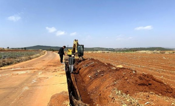 黄山黑马细支什么价格？黄山黑马细支多少钱一包2024？