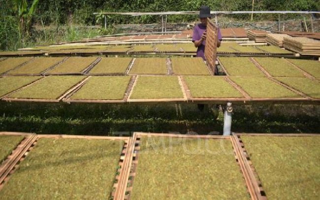 中华(硬阿根廷版)图片及价格查询中华(硬阿根廷版)价钱批发 